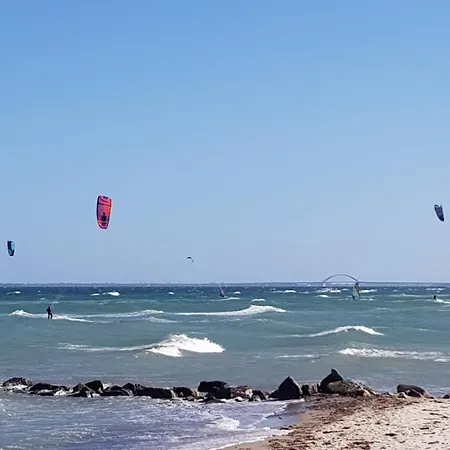 Strandlaeufer-g13
